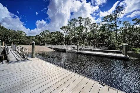3164 Brooker Creek Way Palm Harbor FL 34685