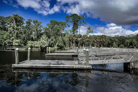 3164 Brooker Creek Way Palm Harbor FL 34685