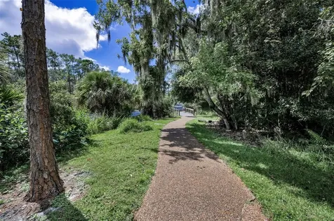 3164 Brooker Creek Way Palm Harbor FL 34685