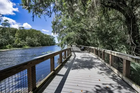 3164 Brooker Creek Way Palm Harbor FL 34685