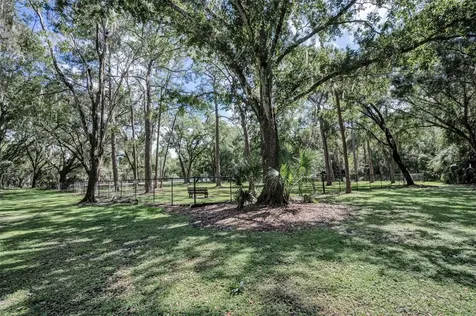 3164 Brooker Creek Way Palm Harbor FL 34685