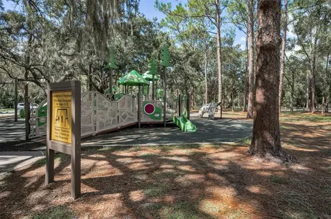 3164 Brooker Creek Way Palm Harbor FL 34685
