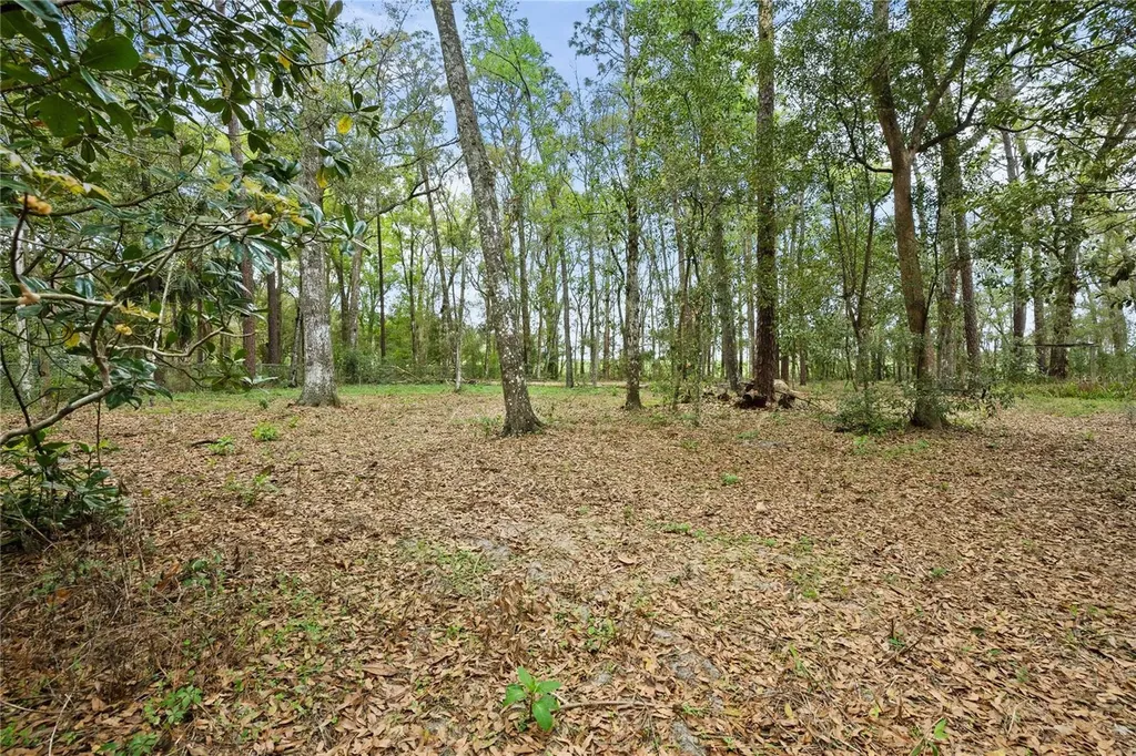 17055 Sweetwater Road Dade City FL 33523