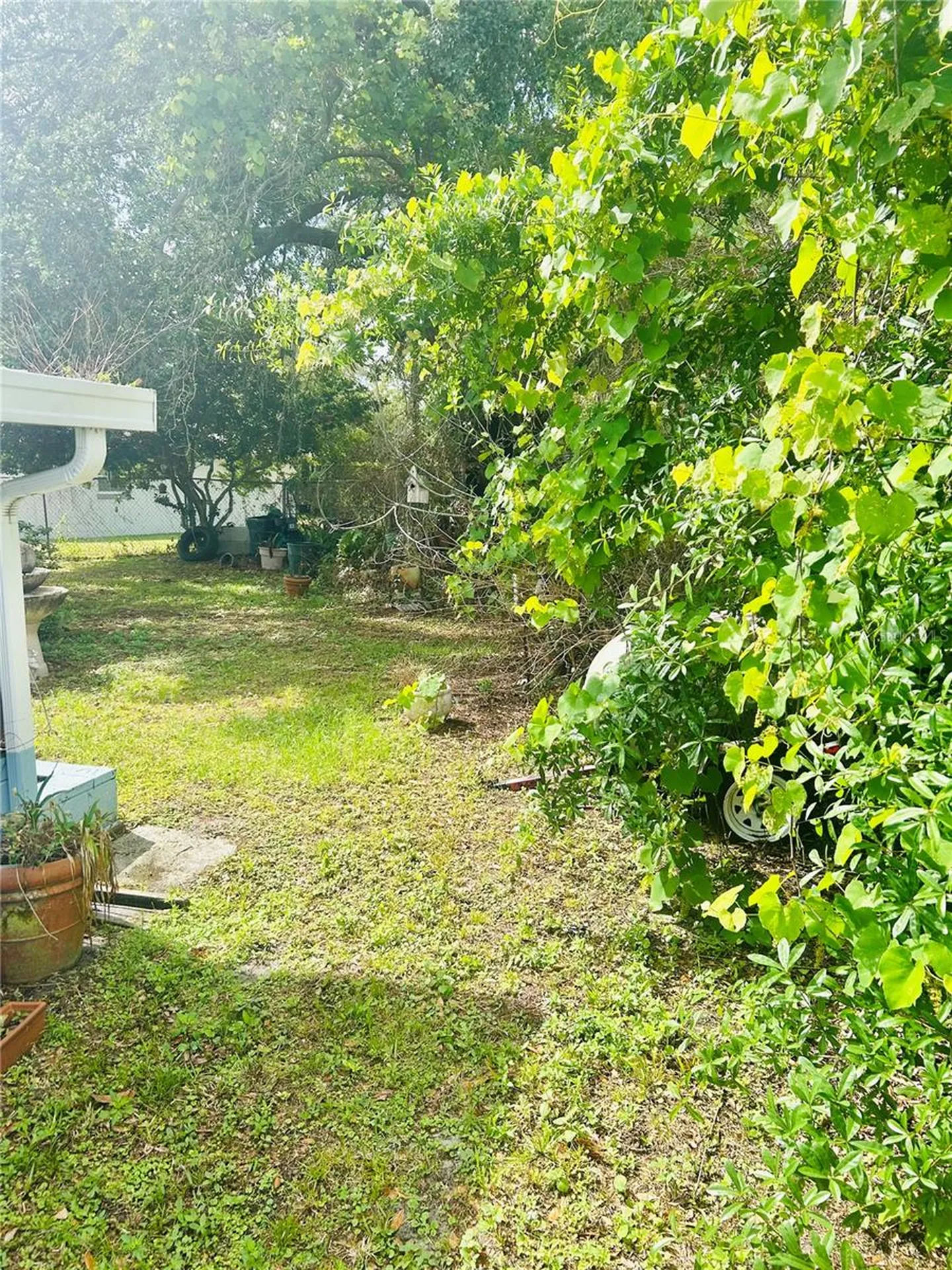 3245 Coleus Court Winter Park FL 32792