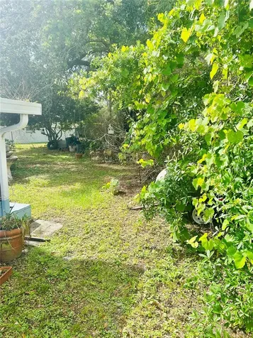 3245 Coleus Court Winter Park FL 32792