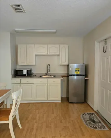 223 Washington Palm Loop Davenport FL 33897