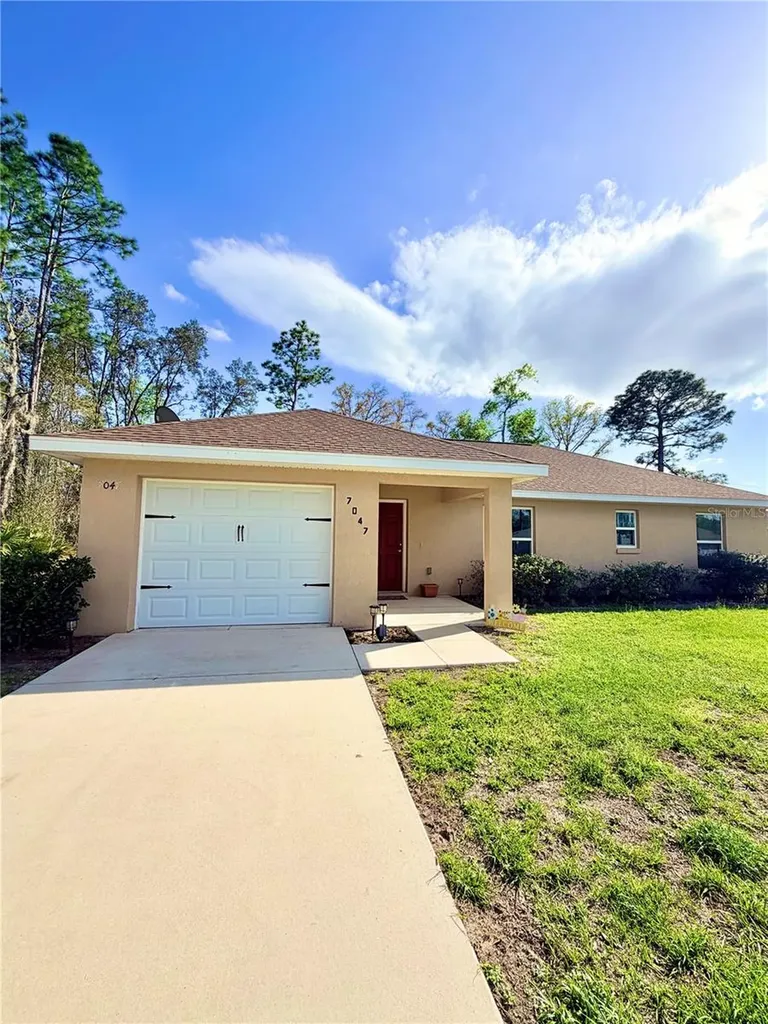 7047 SW 131st Loop Ocala FL 34473