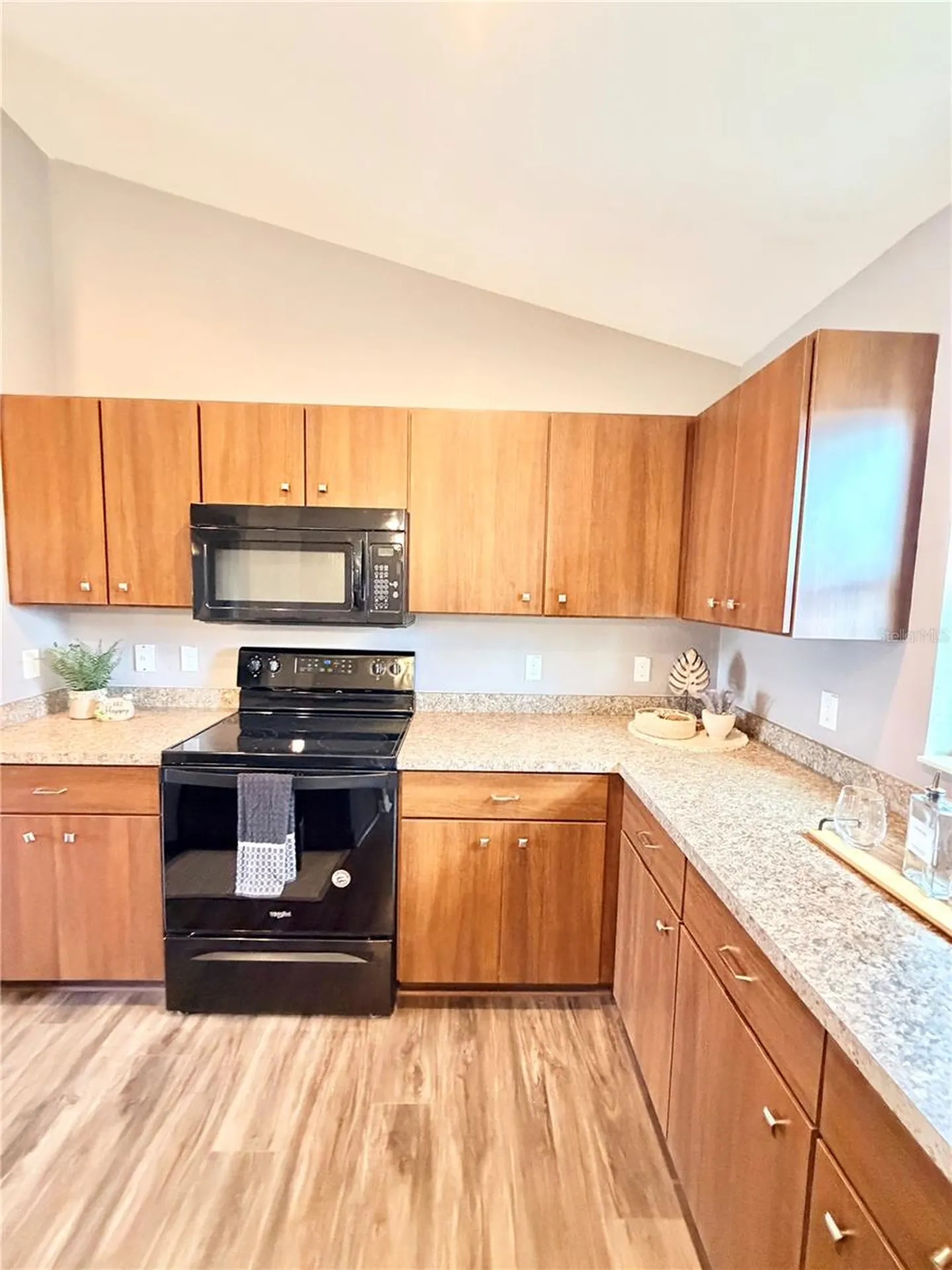 7047 SW 131st Loop Ocala FL 34473