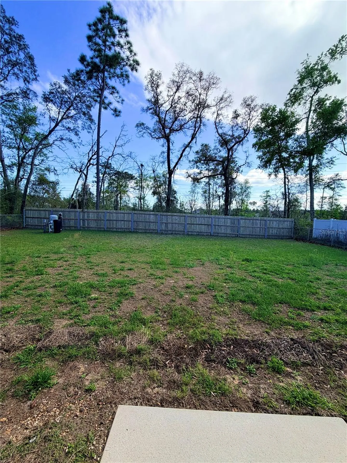 7047 SW 131st Loop Ocala FL 34473