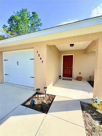 7047 SW 131st Loop Ocala FL 34473