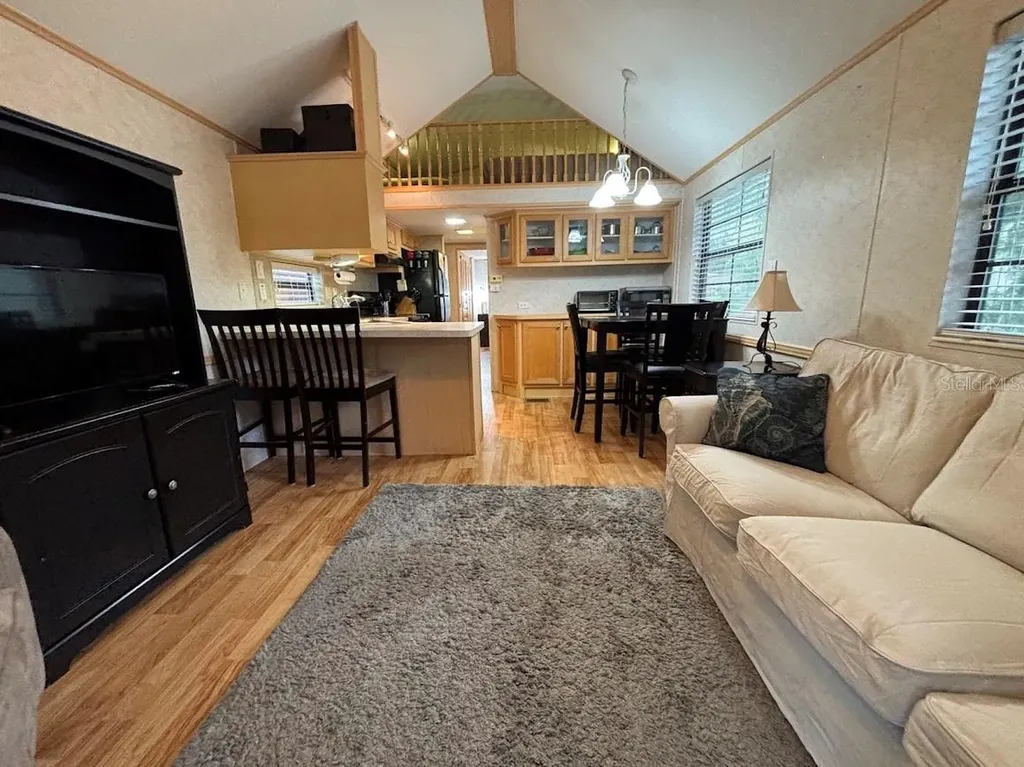 25246 NE 143rd Street Salt Springs FL 32134
