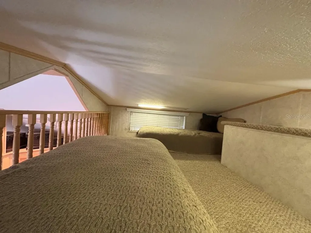 25246 NE 143rd Street Salt Springs FL 32134