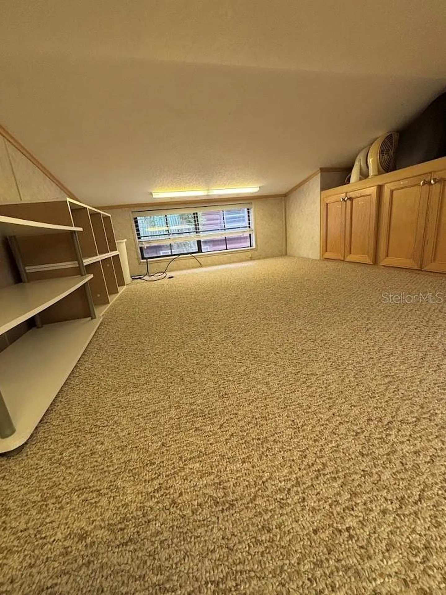 25246 NE 143rd Street Salt Springs FL 32134