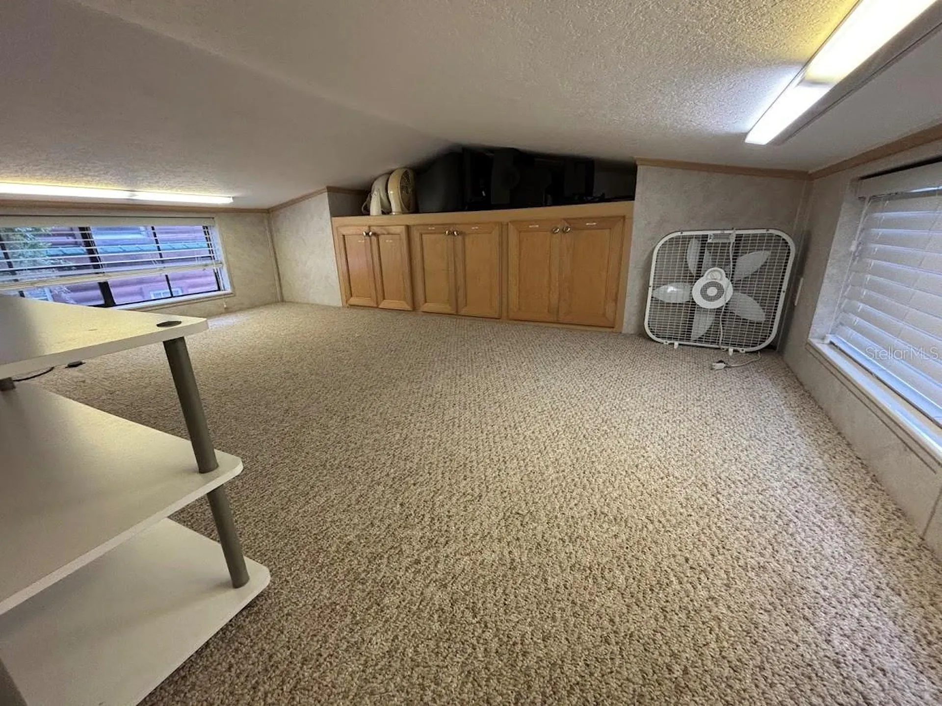 25246 NE 143rd Street Salt Springs FL 32134