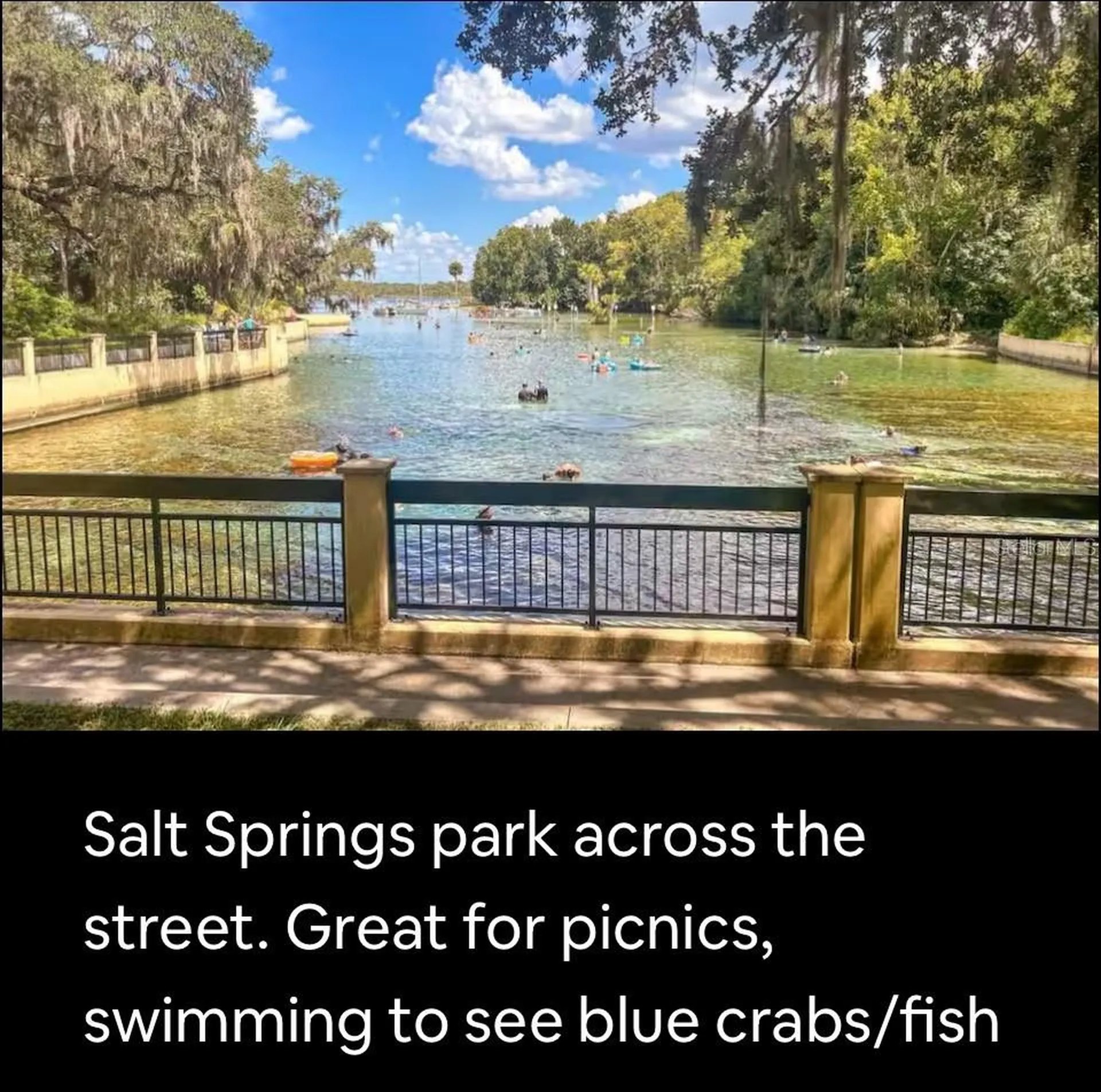25246 NE 143rd Street Salt Springs FL 32134