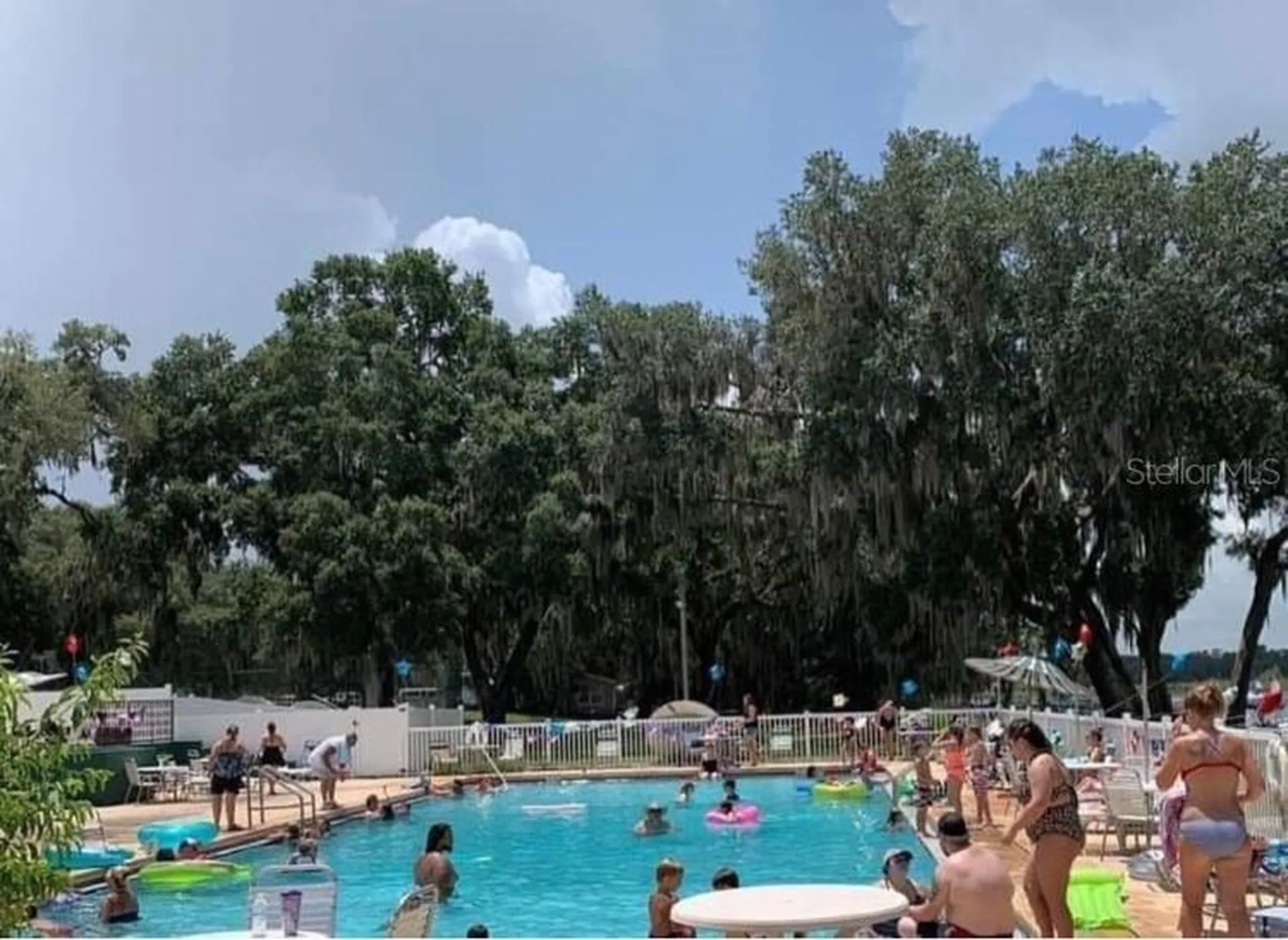 25246 NE 143rd Street Salt Springs FL 32134