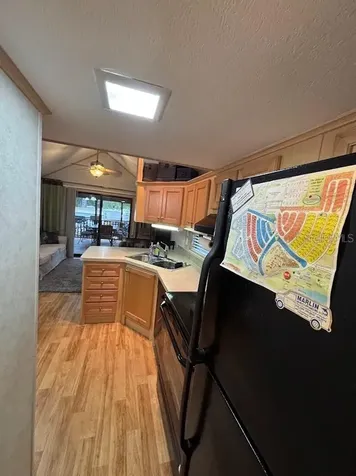 25246 NE 143rd Street Salt Springs FL 32134