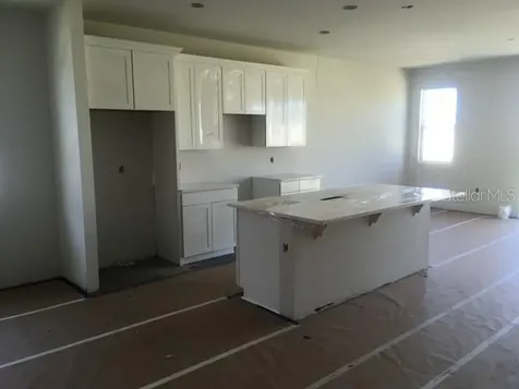 360 Buchannan Drive Davenport FL 33837