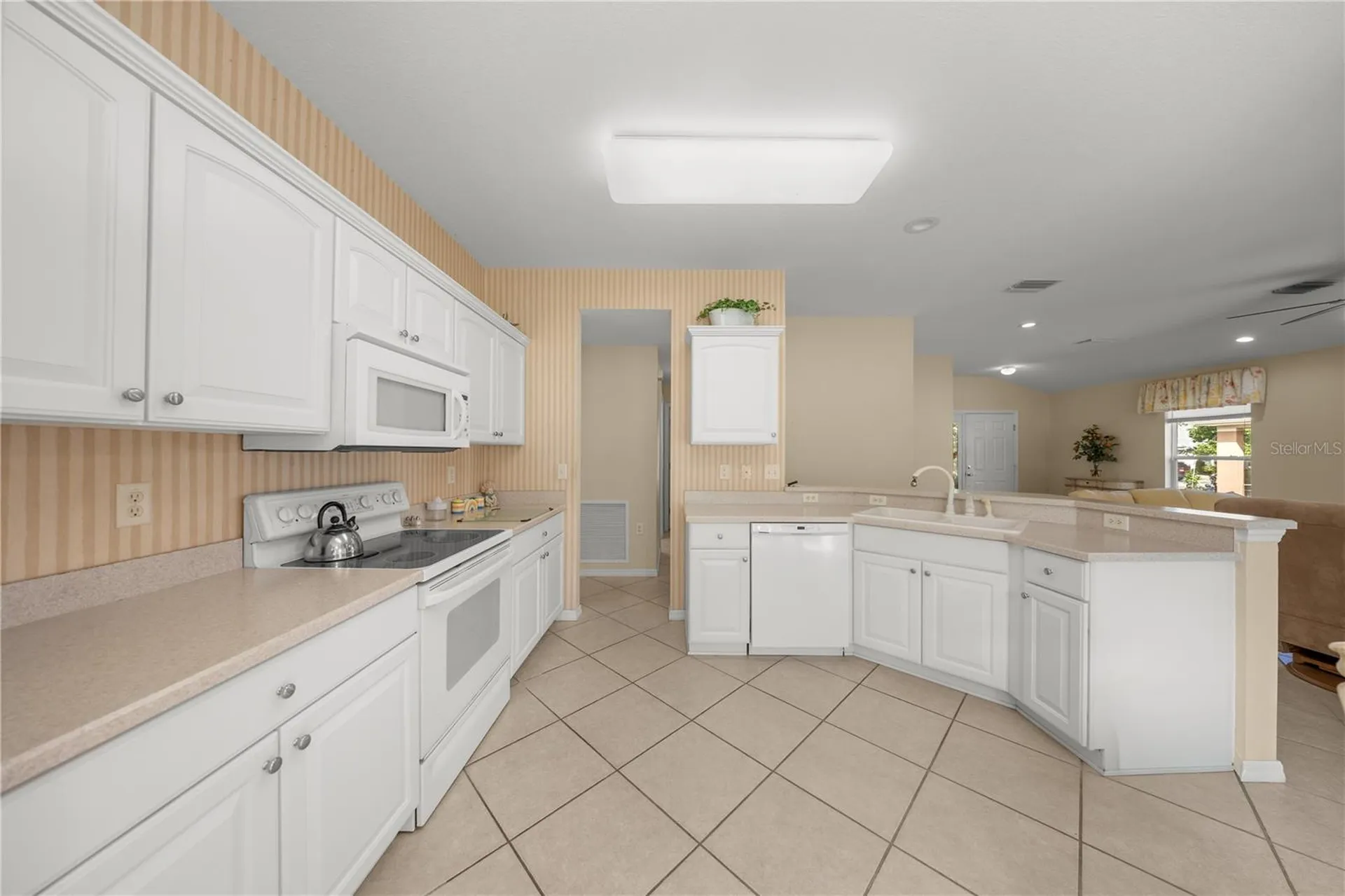 13421 SE 92nd Court Road Summerfield FL 34491
