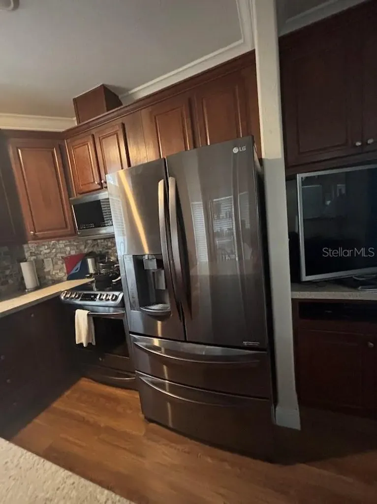 25235 NE 143rd Place Salt Springs FL 32134