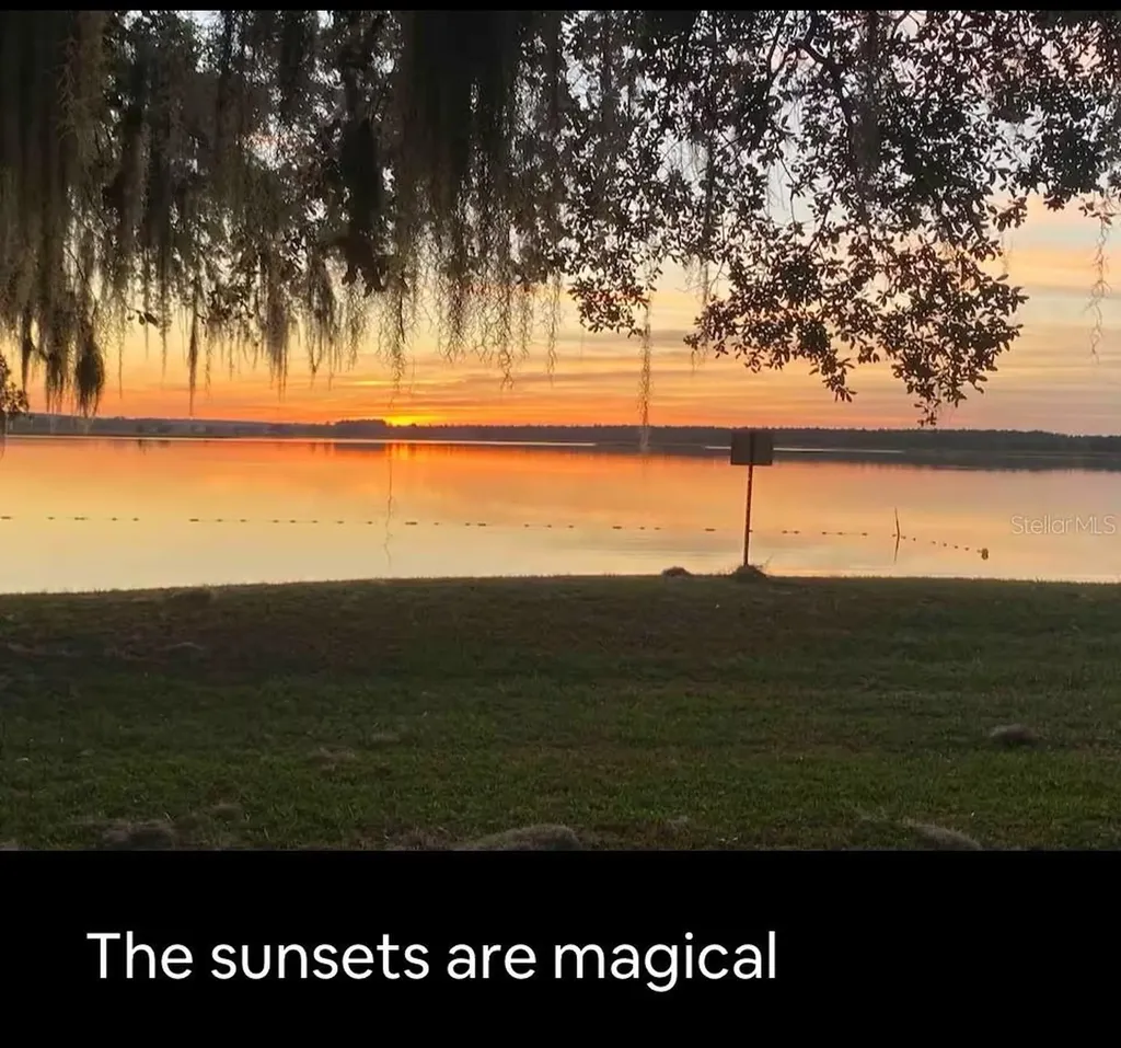 25235 NE 143rd Place Salt Springs FL 32134