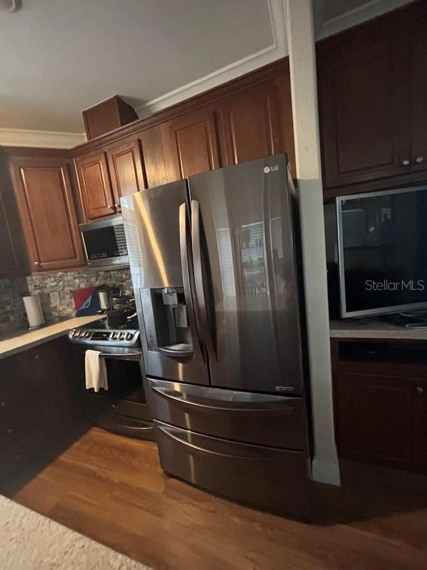 25235 NE 143rd Place Salt Springs FL 32134