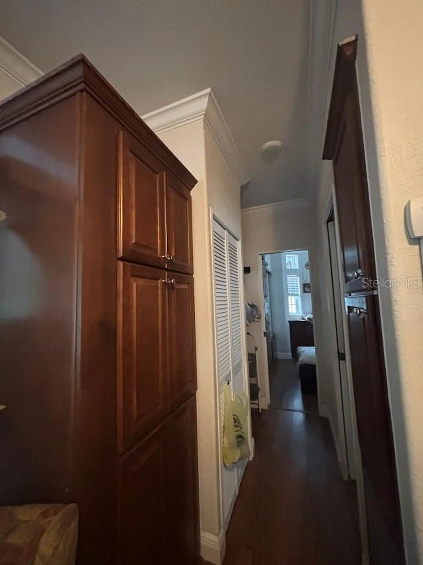 25235 NE 143rd Place Salt Springs FL 32134