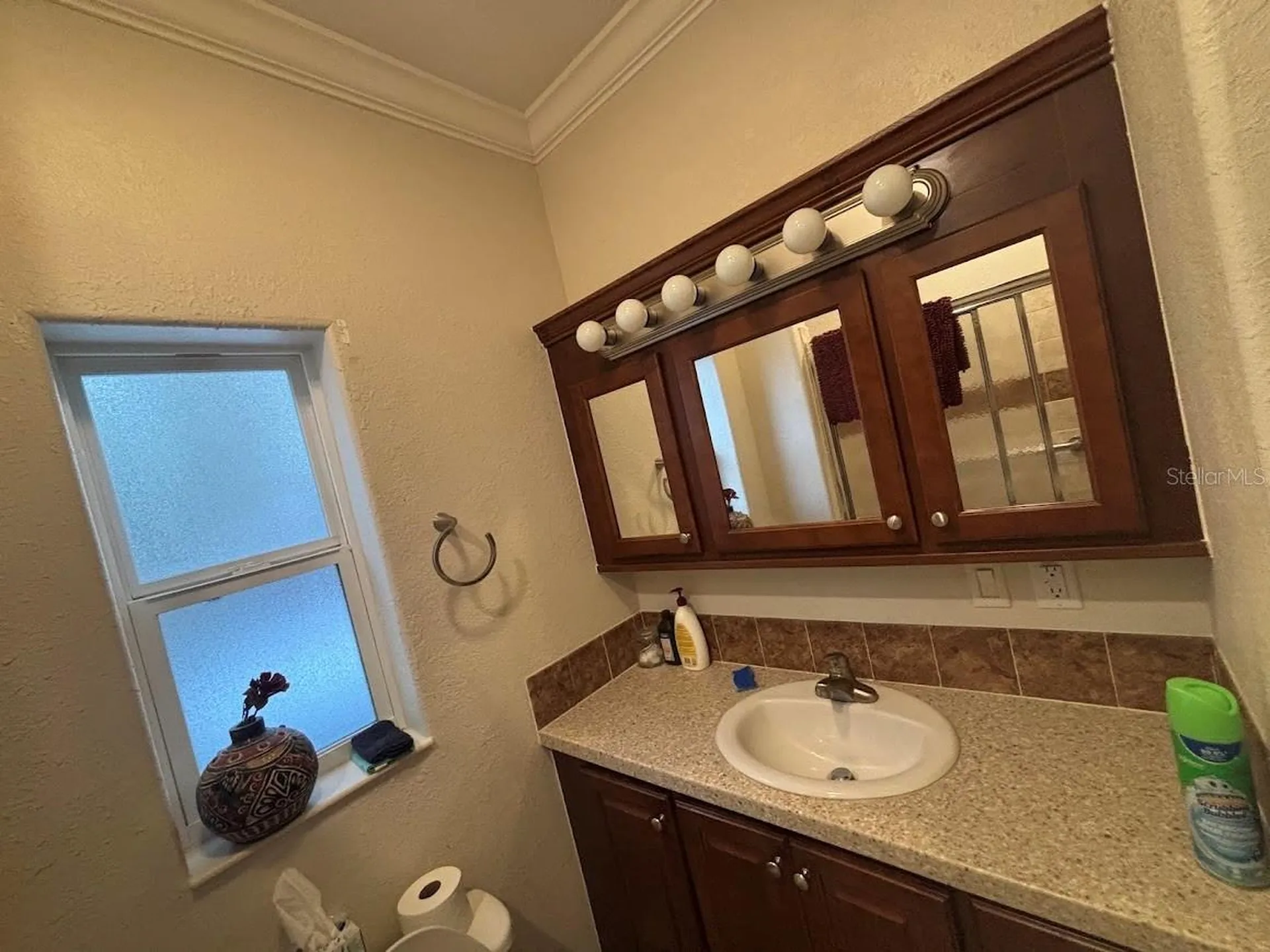 25235 NE 143rd Place Salt Springs FL 32134
