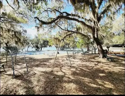 25235 NE 143rd Place Salt Springs FL 32134
