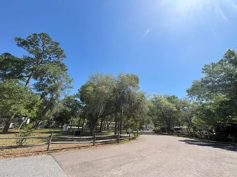 25235 NE 143rd Place Salt Springs FL 32134