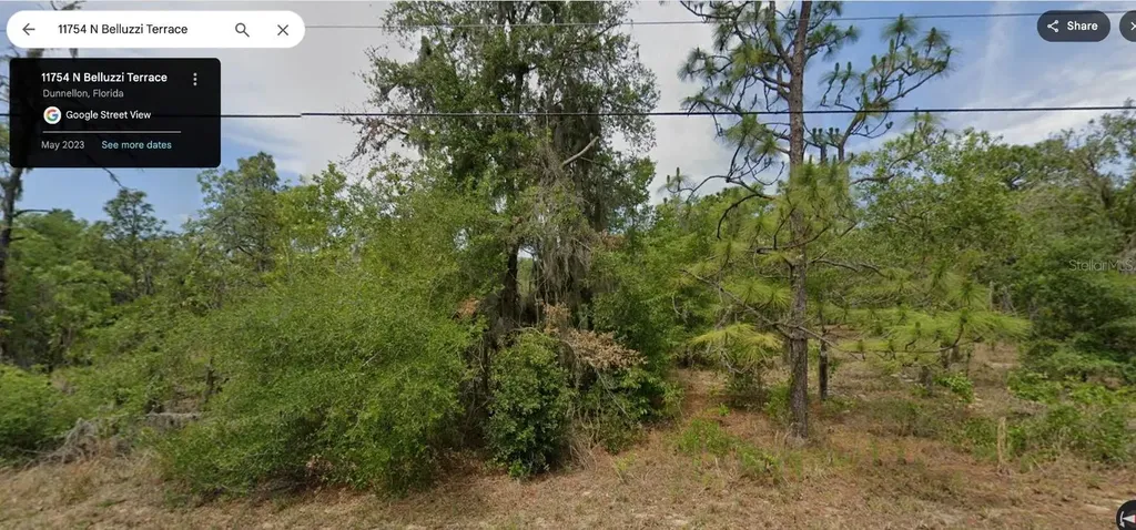 11754 N Belluzzi Terrace Dunnellon FL 34433