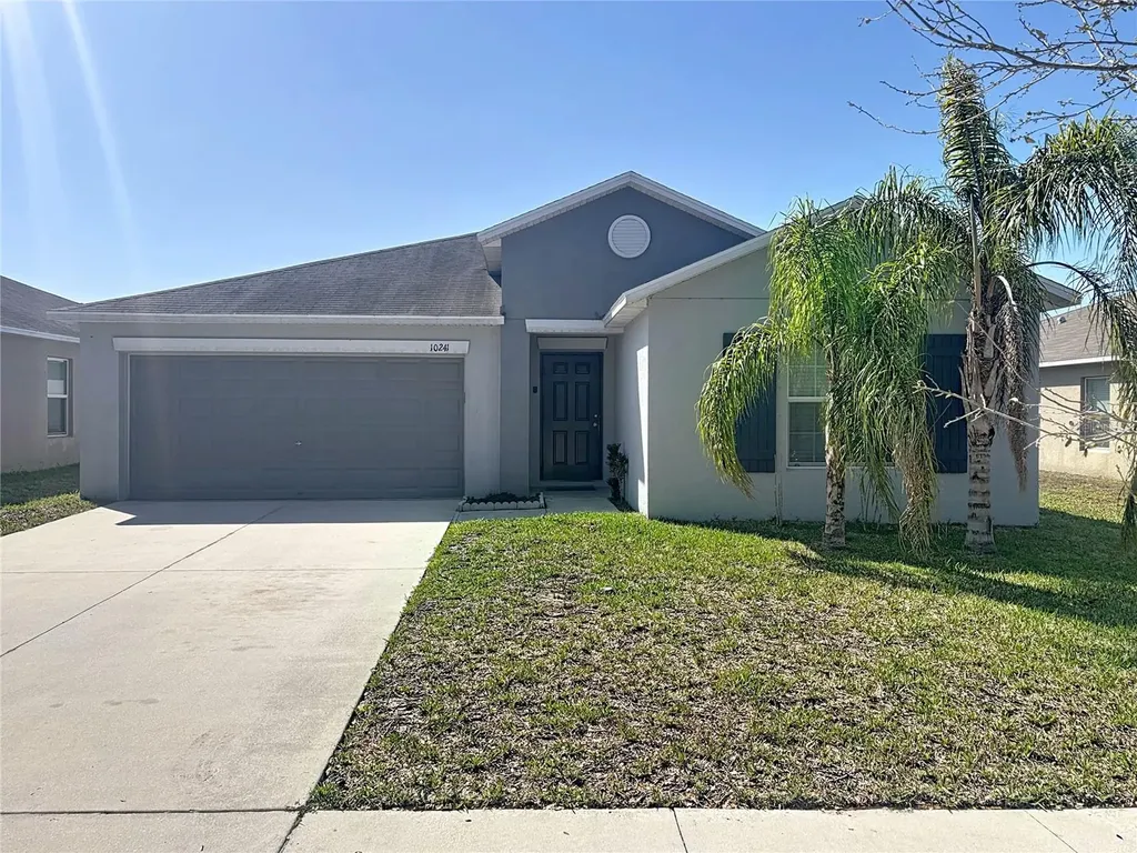 10241 Strawberry Tetra Drive Riverview FL 33578
