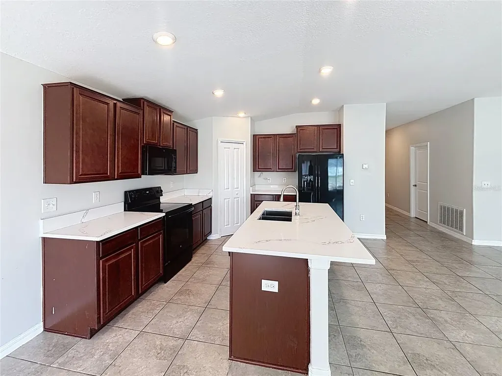 10241 Strawberry Tetra Drive Riverview FL 33578