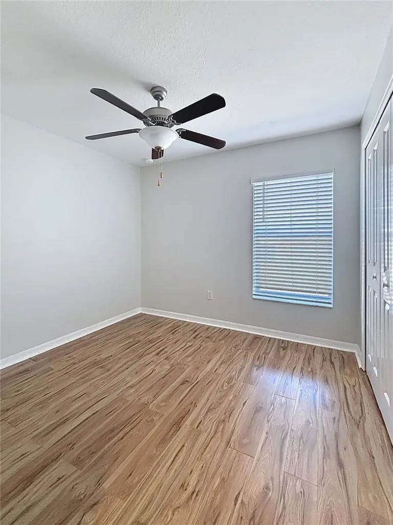 10241 Strawberry Tetra Drive Riverview FL 33578