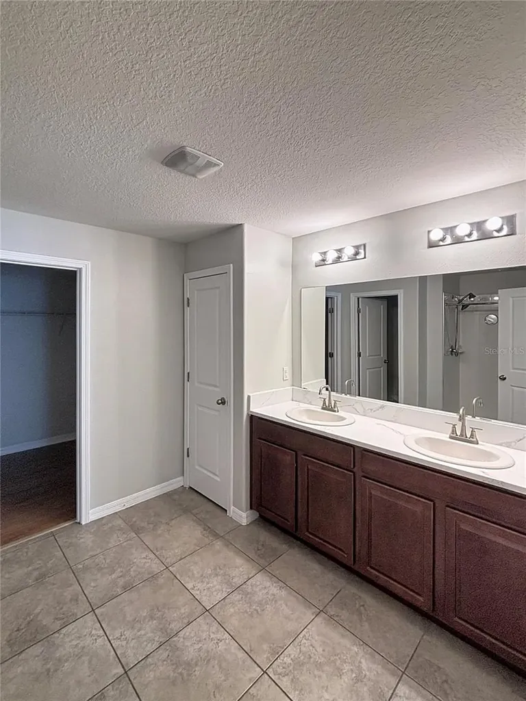 10241 Strawberry Tetra Drive Riverview FL 33578