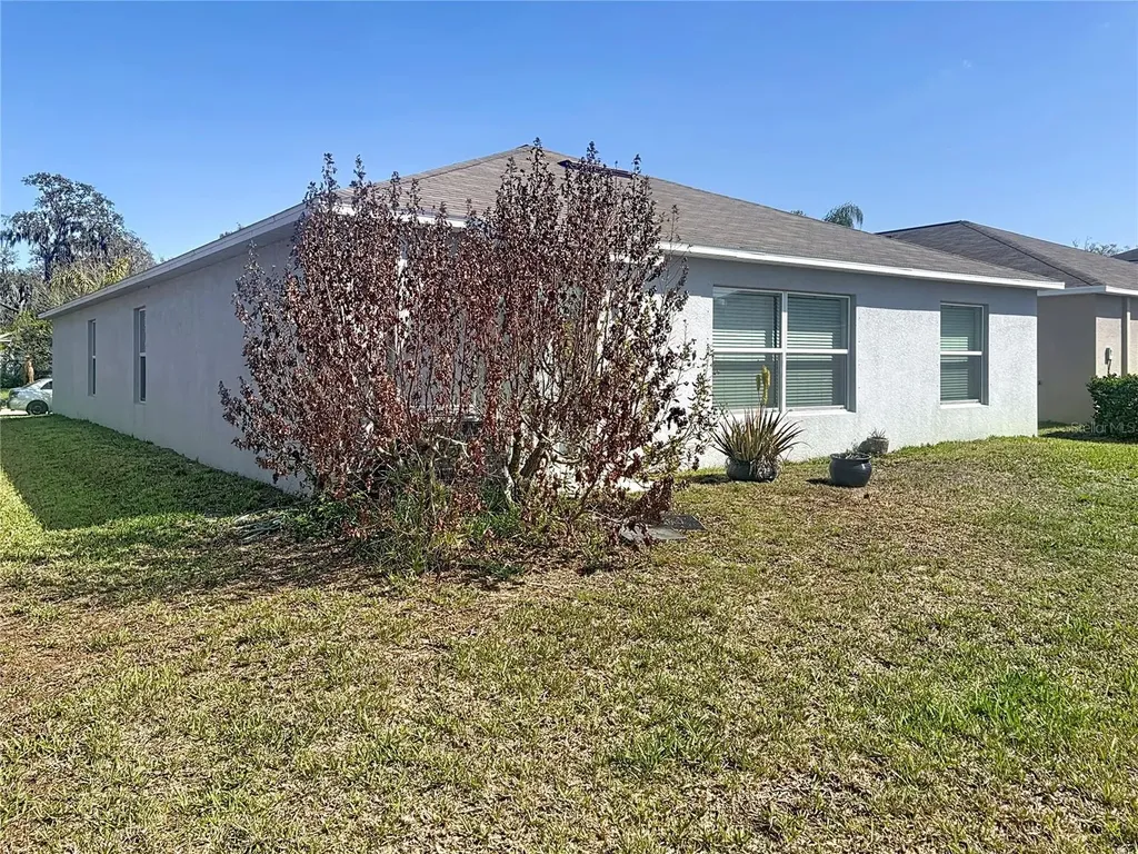 10241 Strawberry Tetra Drive Riverview FL 33578