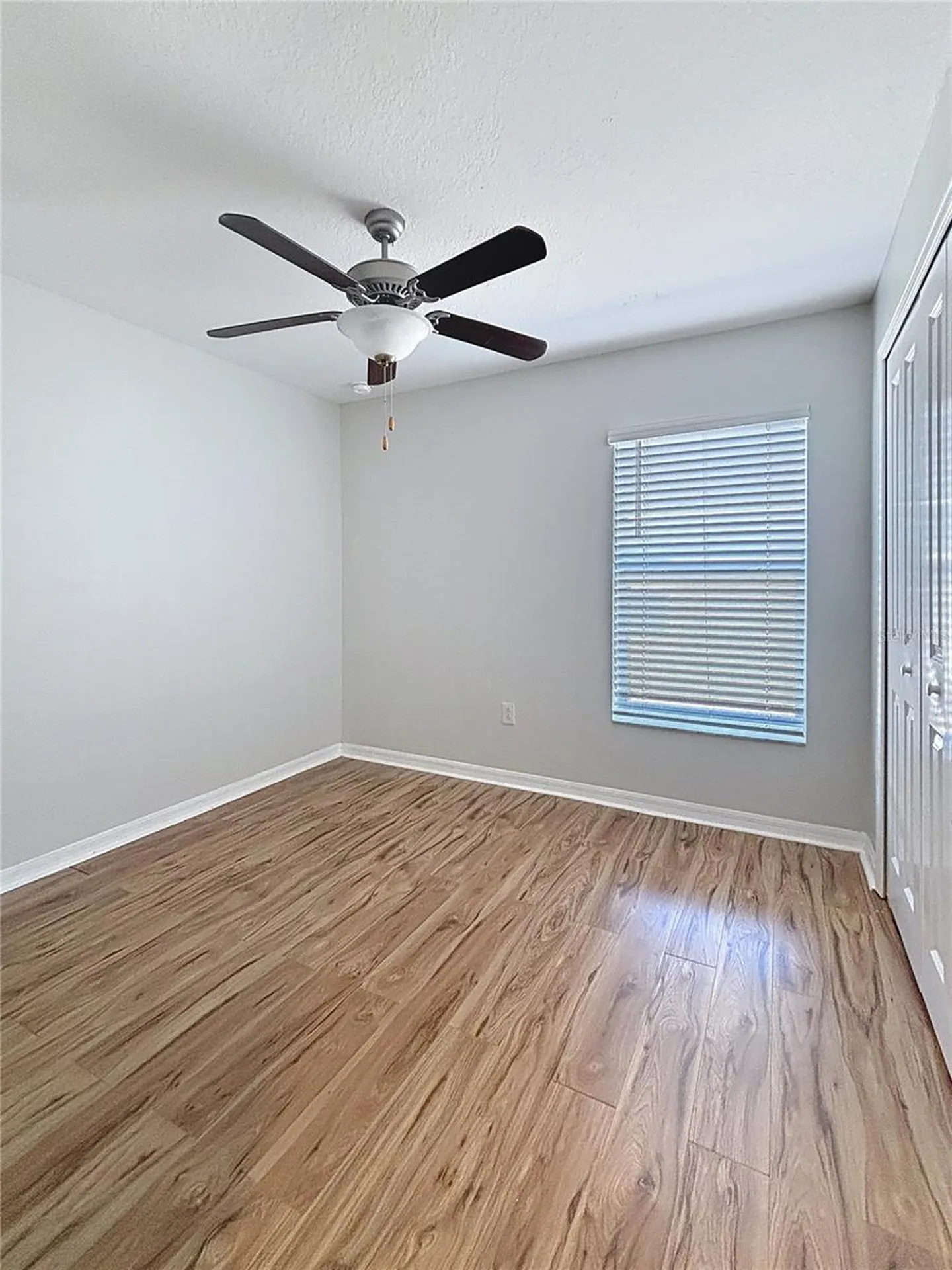 10241 Strawberry Tetra Drive Riverview FL 33578