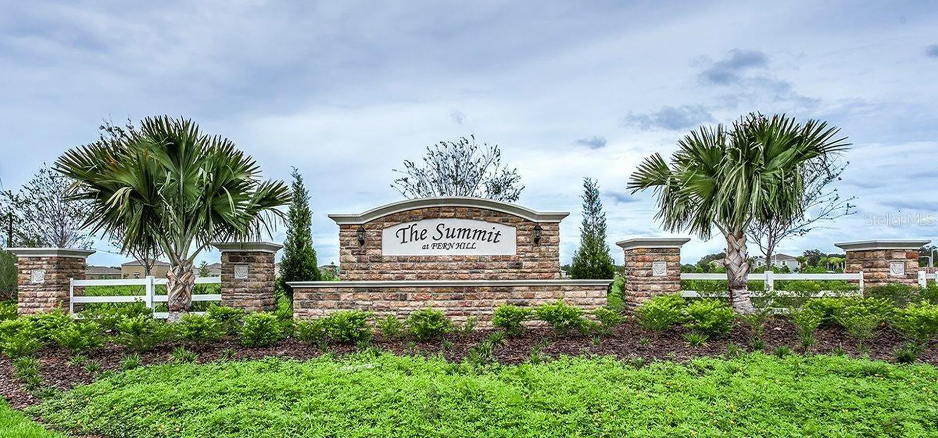 10241 Strawberry Tetra Drive Riverview FL 33578