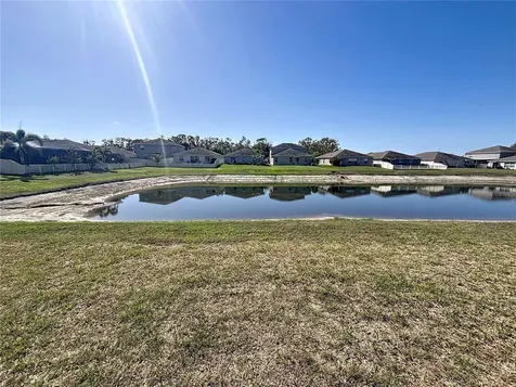 10241 Strawberry Tetra Drive Riverview FL 33578