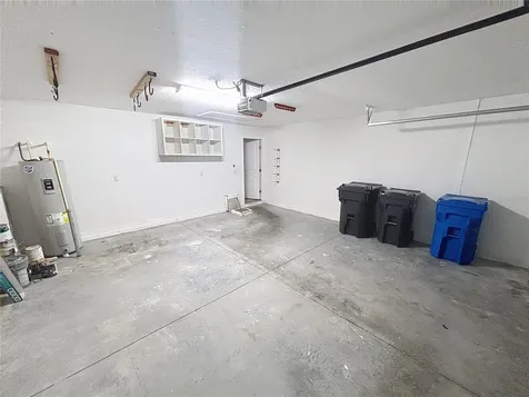 10241 Strawberry Tetra Drive Riverview FL 33578