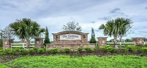 10241 Strawberry Tetra Drive Riverview FL 33578