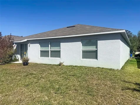10241 Strawberry Tetra Drive Riverview FL 33578