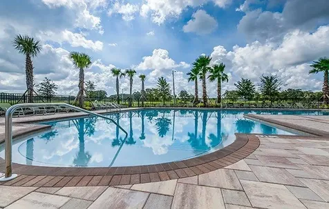 10241 Strawberry Tetra Drive Riverview FL 33578