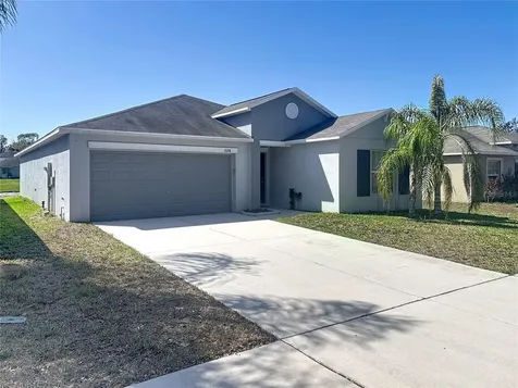 10241 Strawberry Tetra Drive Riverview FL 33578