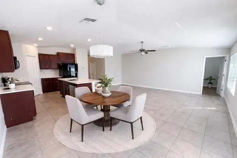 10241 Strawberry Tetra Drive Riverview FL 33578