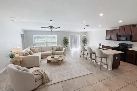 10241 Strawberry Tetra Drive Riverview FL 33578