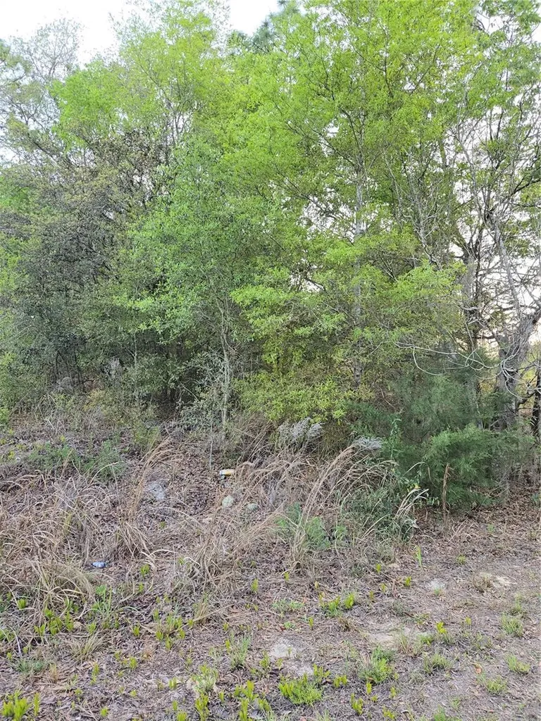 Tbd SW 27 Street Ocala FL 34481