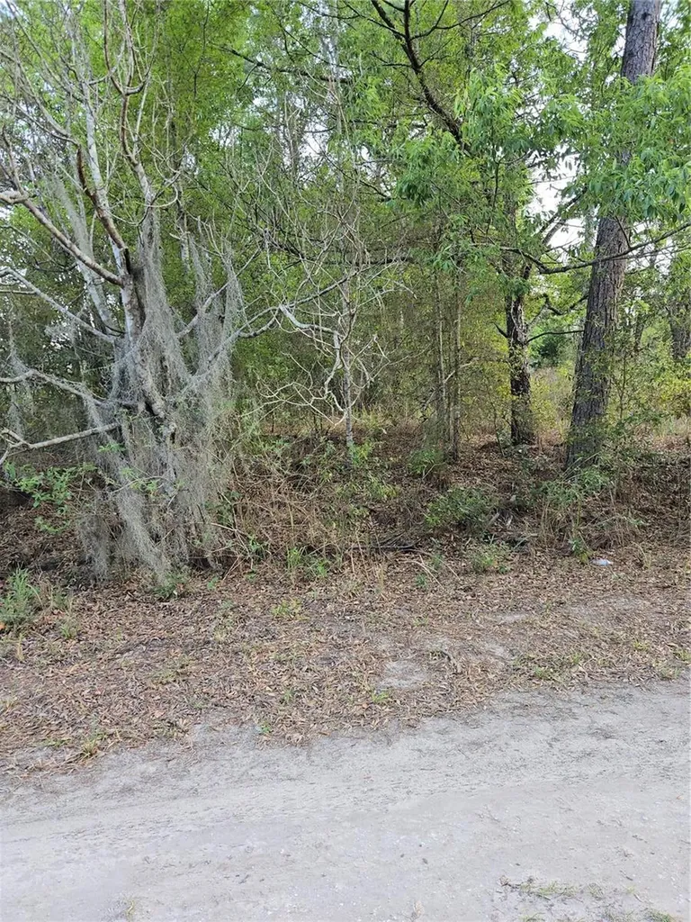 Tbd SW 27 Street Ocala FL 34481