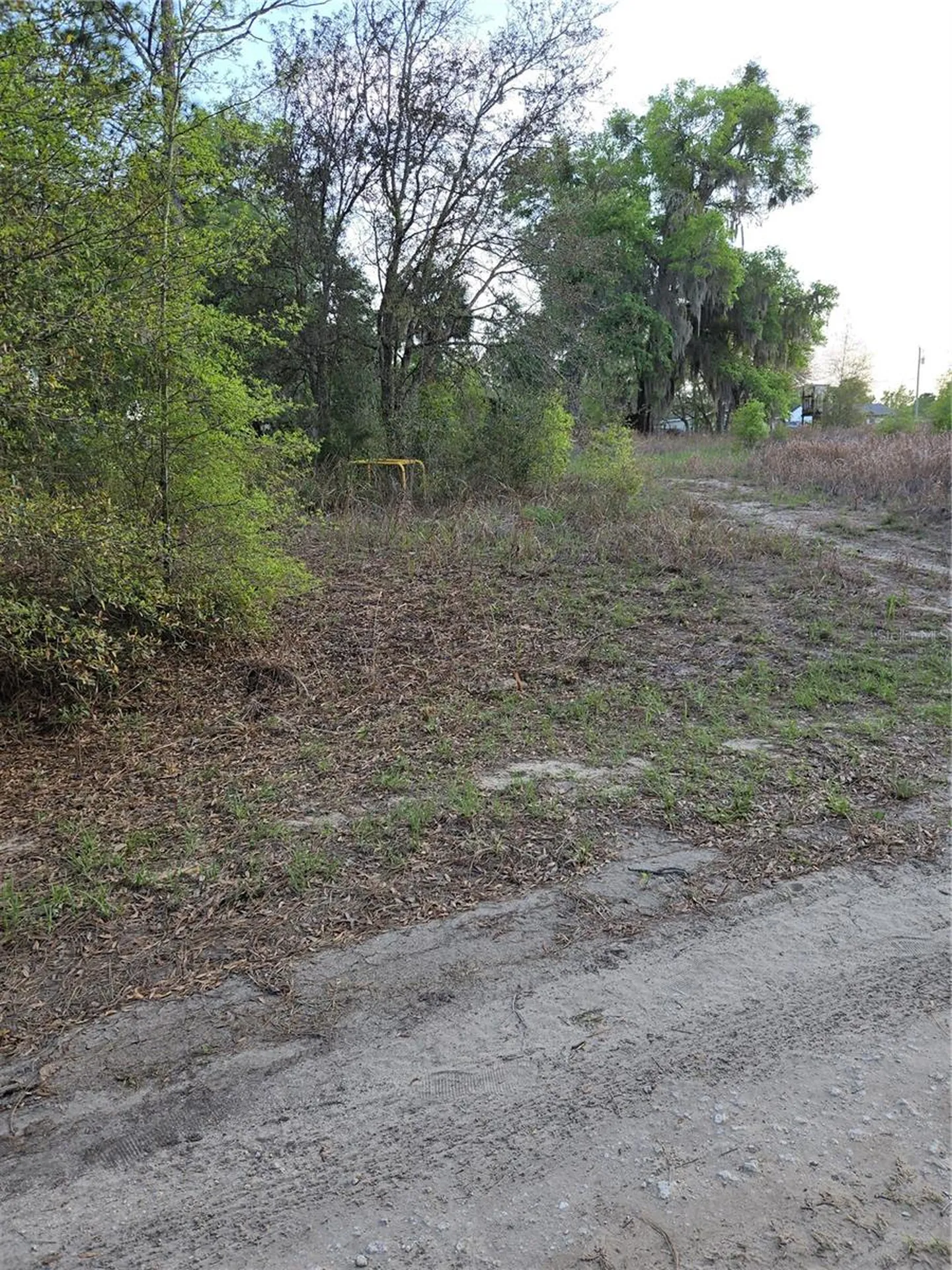 Tbd SW 27 Street Ocala FL 34481