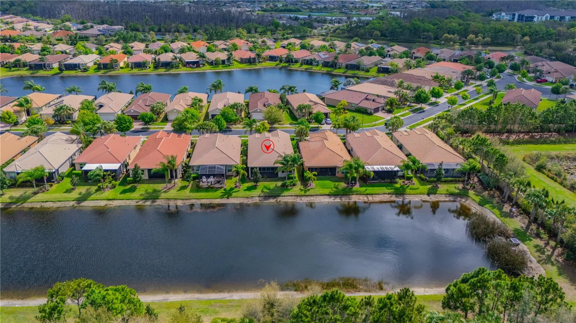 4908 Grand Banks Drive Wimauma FL 33598